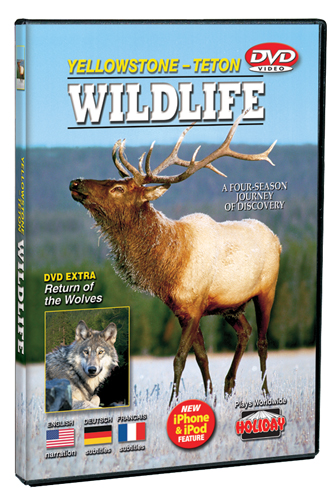 Yellowstone-Teton Wildlife DVD